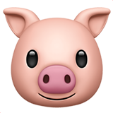 pig-face